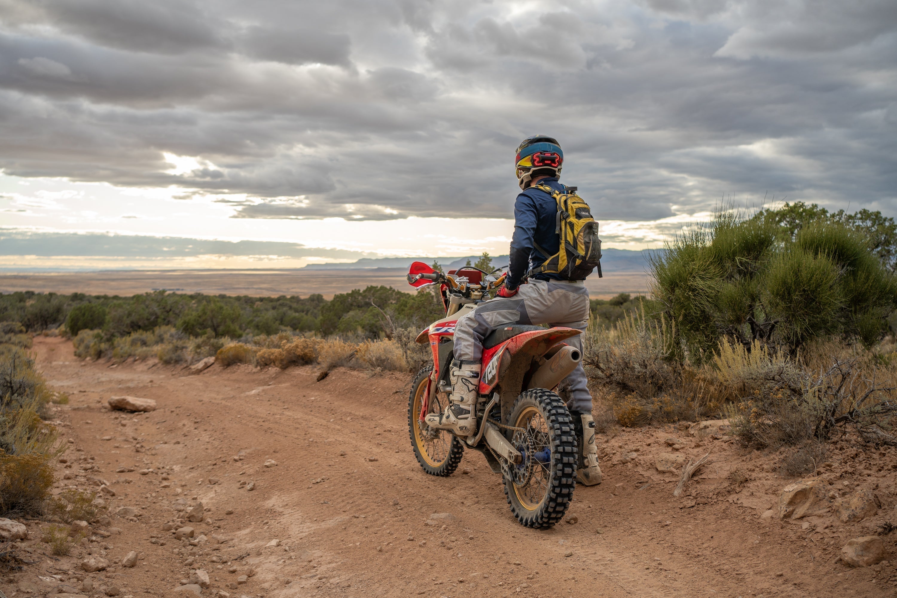 Be The First To Know—Sign Up For Brake Free SMS